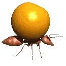 muurahainen animoituja-kuvia-gif